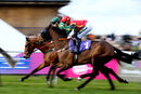 Race 5 - Can Can Girl (2)