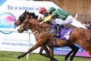 Race 5 - Can Can Girl (5)