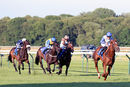 Race 5 - Chance (2)