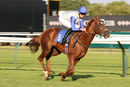 Race 5 - Chance (4)