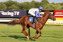 Race 5 - Chance (5)