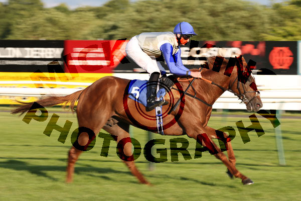 Race 5 - Chance (6)
