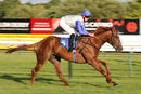 Race 5 - Chance (6)