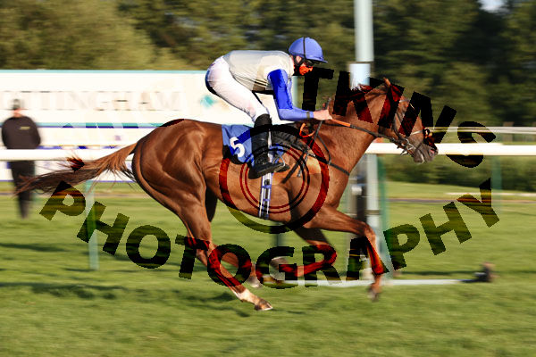 Race 5 - Chance (7)