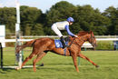 Race 5 - Chance (8)