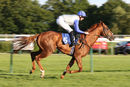 Race 5 - Chance (9)