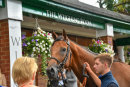 Race 5 - Cliff (19)