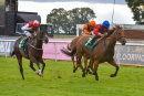 Race 5 - Cliff (8)