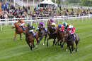 Race 5 - Clubbable (2)