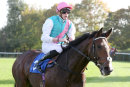 Race 5 - Collide (12)