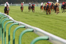 Race 5 - Collide (4)