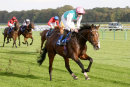 Race 5 - Collide (8)