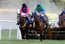 Race 5 - Comely (5)