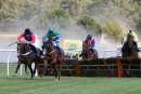 Race 5 - Comely (6)