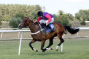 Race 5 - Comely (7)