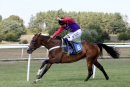 Race 5 - Comely (8)