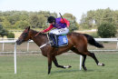 Race 5 - Comely (9)