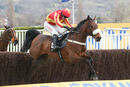 Race 5 - Coole Cody (3)