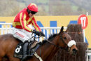 Race 5 - Coole Cody (4)