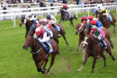 Race 5 - Copper Knight (3)