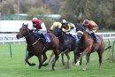 Race 5 - Copper Knight (6)