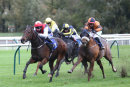 Race 5 - Copper Knight (4)