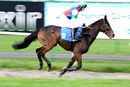 Race 5 - Copper West (2)