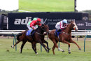 Race 5 - Cote D Azur (10)