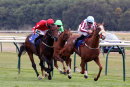 Race 5 - Cote D Azur (7)
