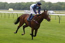 Race 5 - Danzeno (10)