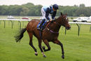 Race 5 - Danzeno (11)