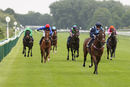 Race 5 - Danzeno (4)