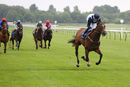Race 5 - Danzeno (7)