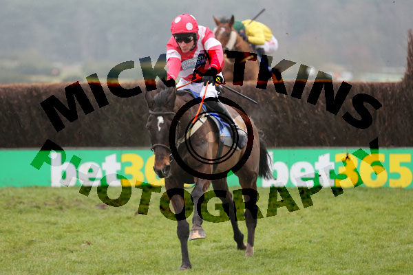 Race 5 - Dartford Warbler (5)
