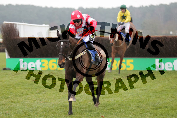 Race 5 - Dartford Warbler (6)