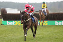 Race 5 - Dartford Warbler (6)