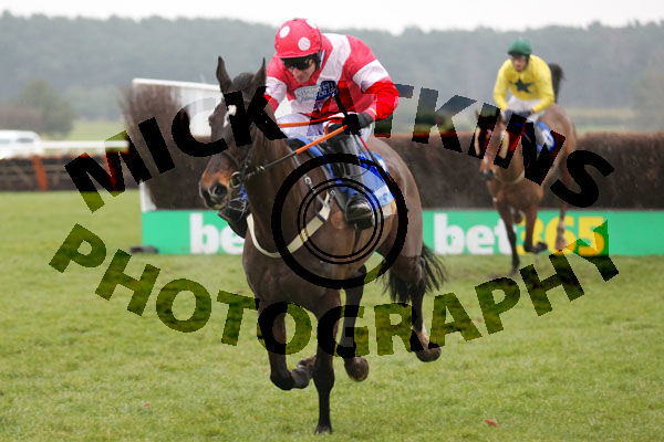 Race 5 - Dartford Warbler (7)