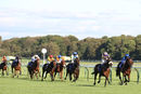 Race 5 - Deinonychus (3)