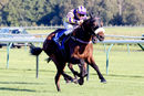 Race 5 - Deinonychus (5)