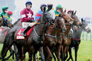 Race 5 - Delta Work (2)