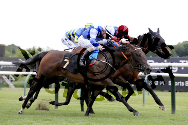 Race 5 - Dickens (11)