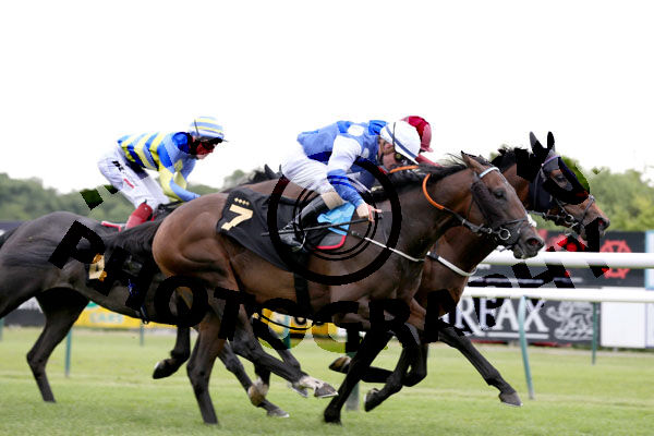 Race 5 - Dickens (13)