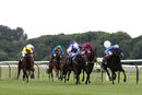 Race 5 - Dickens (3)
