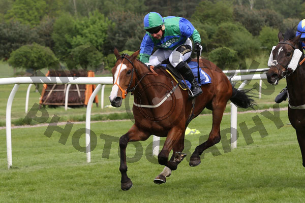 Race 5 - Doctor Thea (13)