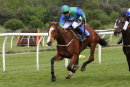 Race 5 - Doctor Thea (13)