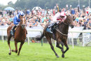 Race 5 - Dream Today (4)