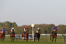 Race 5 - Dubai Instinct (3)