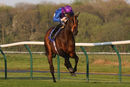 Race 5 - Dubai Instinct (4)