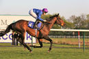 Race 5 - Dubai Instinct (9)