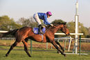 Race 5 - Dubai Instinct (10)